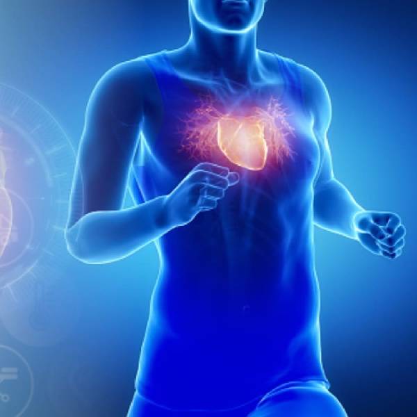 Cardiologist in Pune