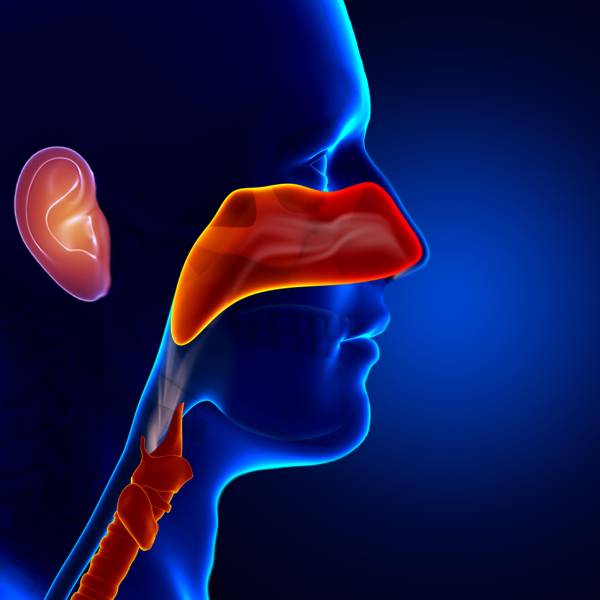 ENT Specialist in Pune