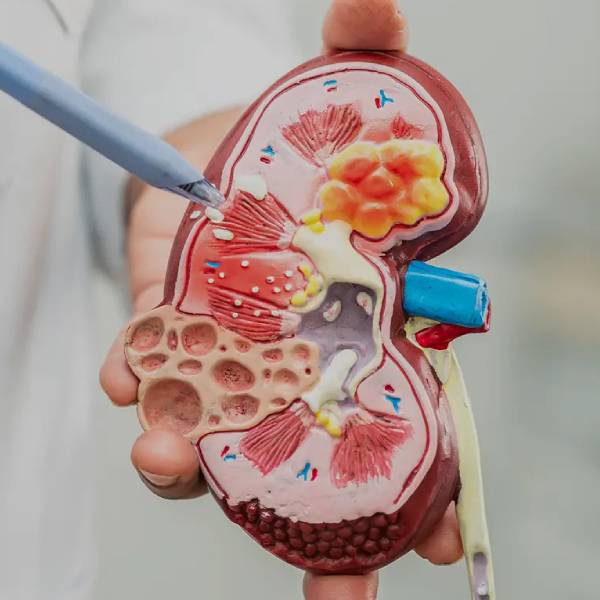 Nephrologist in Pune