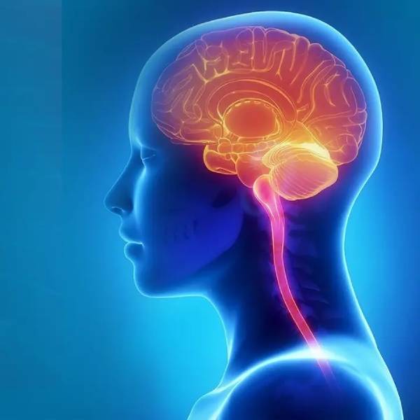 Neurologist in Pune