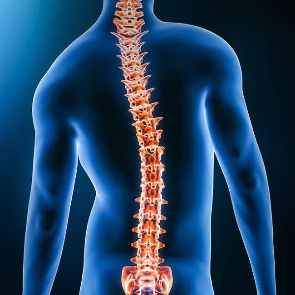 Spine Surgery Hospital in Pune