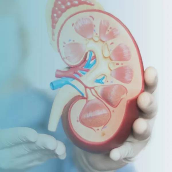 Kidney Stone Treatment in Pune